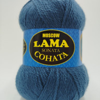 Соната 022 джинс
